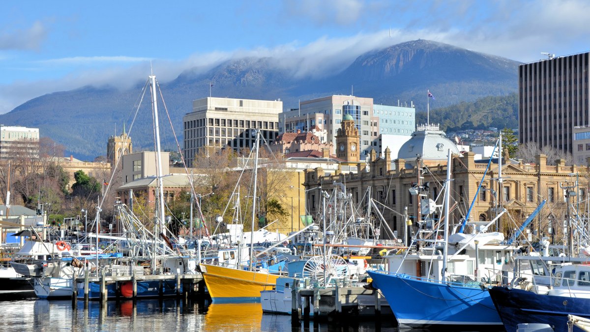 a group of boats in a harbor