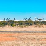 CATHAY PACFIC: Final aircraft leaves storage in the desert at Alice Springs